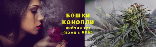 spice Бронницы